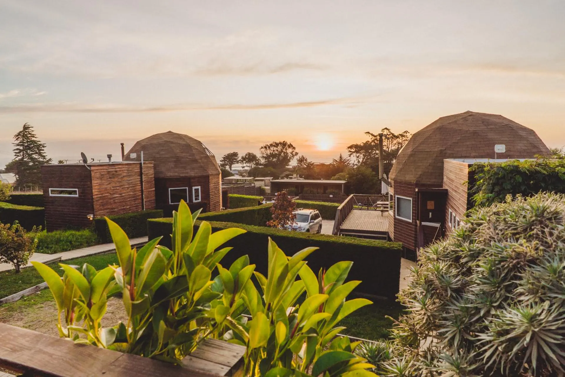 Sunset over the domes and the gardens, with a pink sky and plants in the foreground.