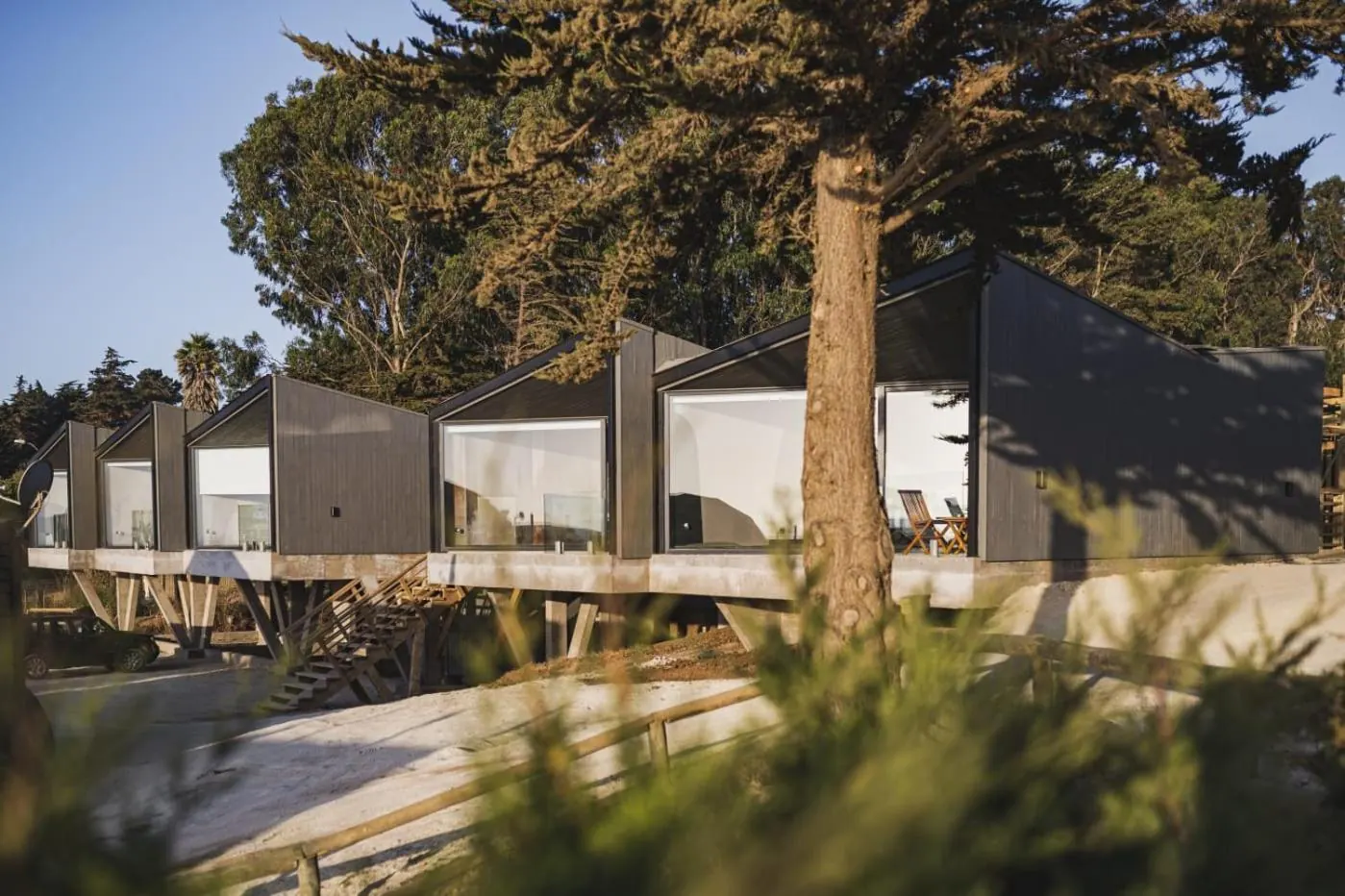 The dark-lined suites behind a large pine tree, with large windows facing the garden.